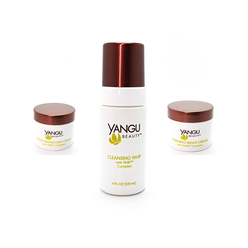Oily Skin Trio - Yangu Beauty